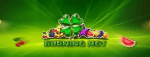 Burning Hot Demo & Review 2025 ᐈ Play for Free