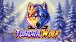 Fire blaze tundra wolf Slot Demo – Honest Review, RTP & Volatility